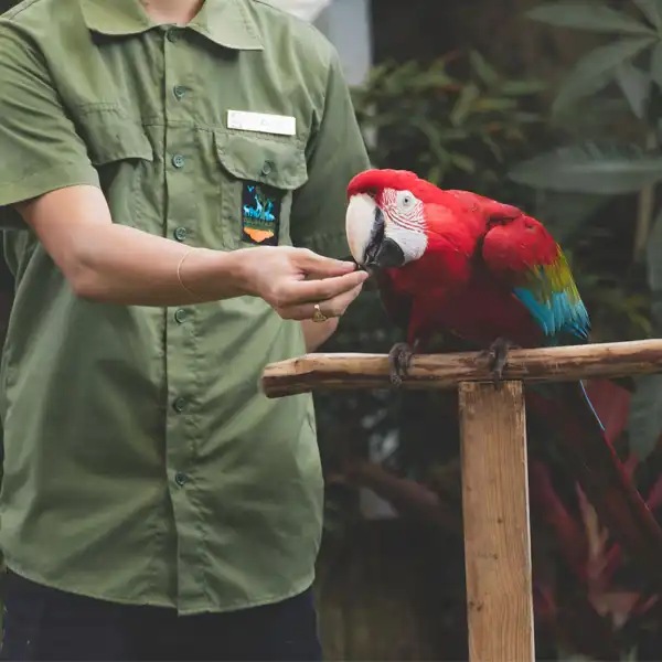 Bali Bird Park