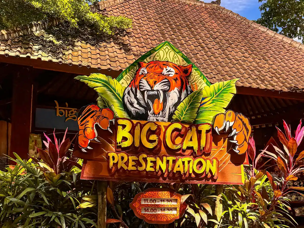 A tiger up close at Bali Zoo, south of Ubud