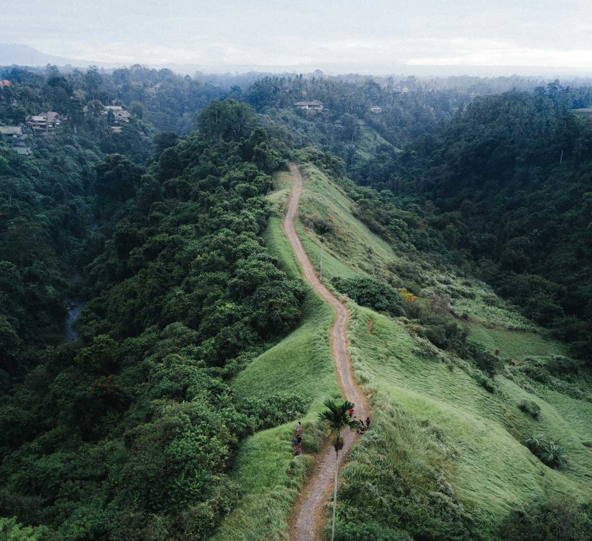 The Campuhan Ridge walking trail near Ubud