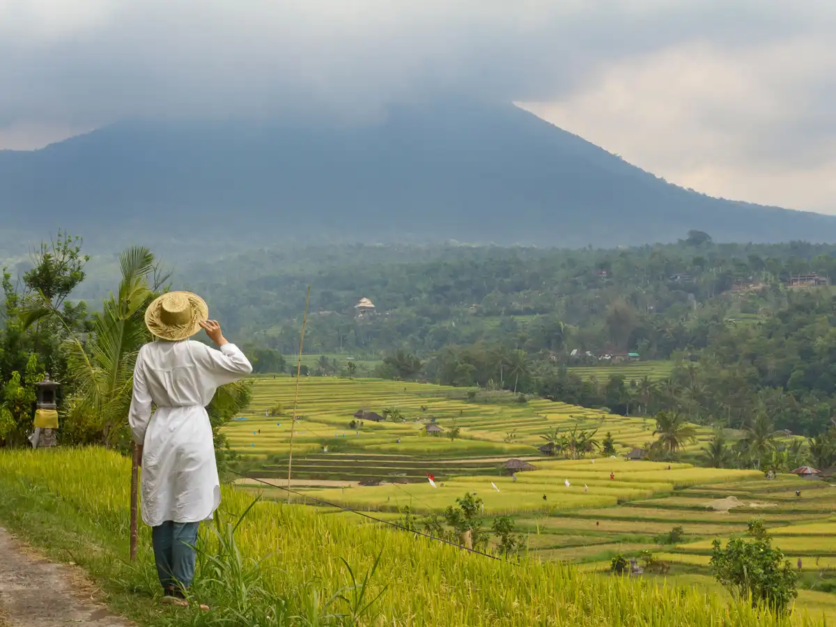 Walking a trail through the Jatiluwih rice terraces, Bali