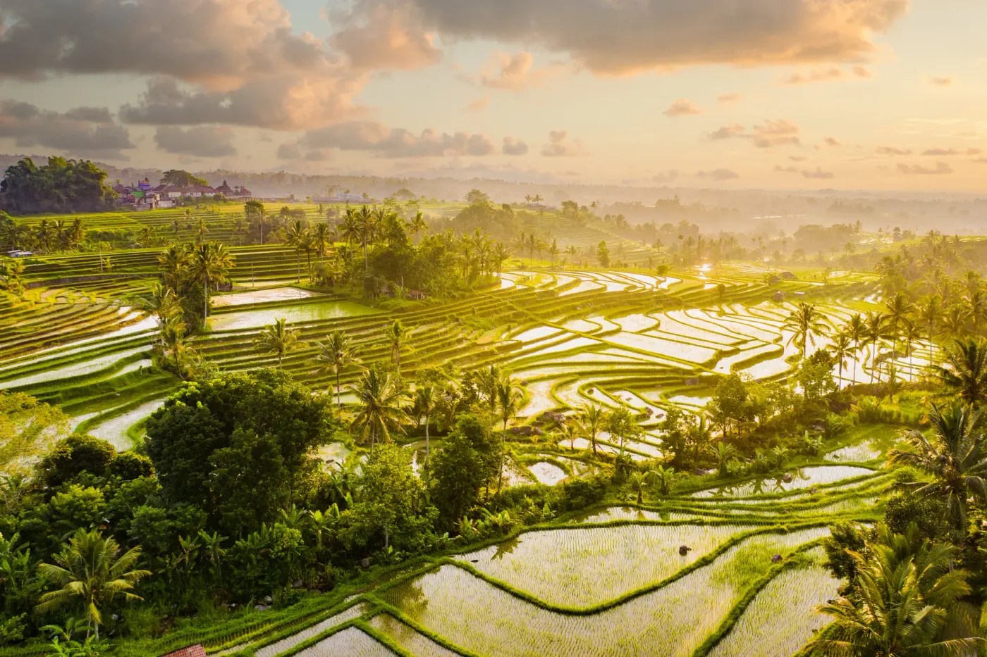 Jatiluwih, Bali