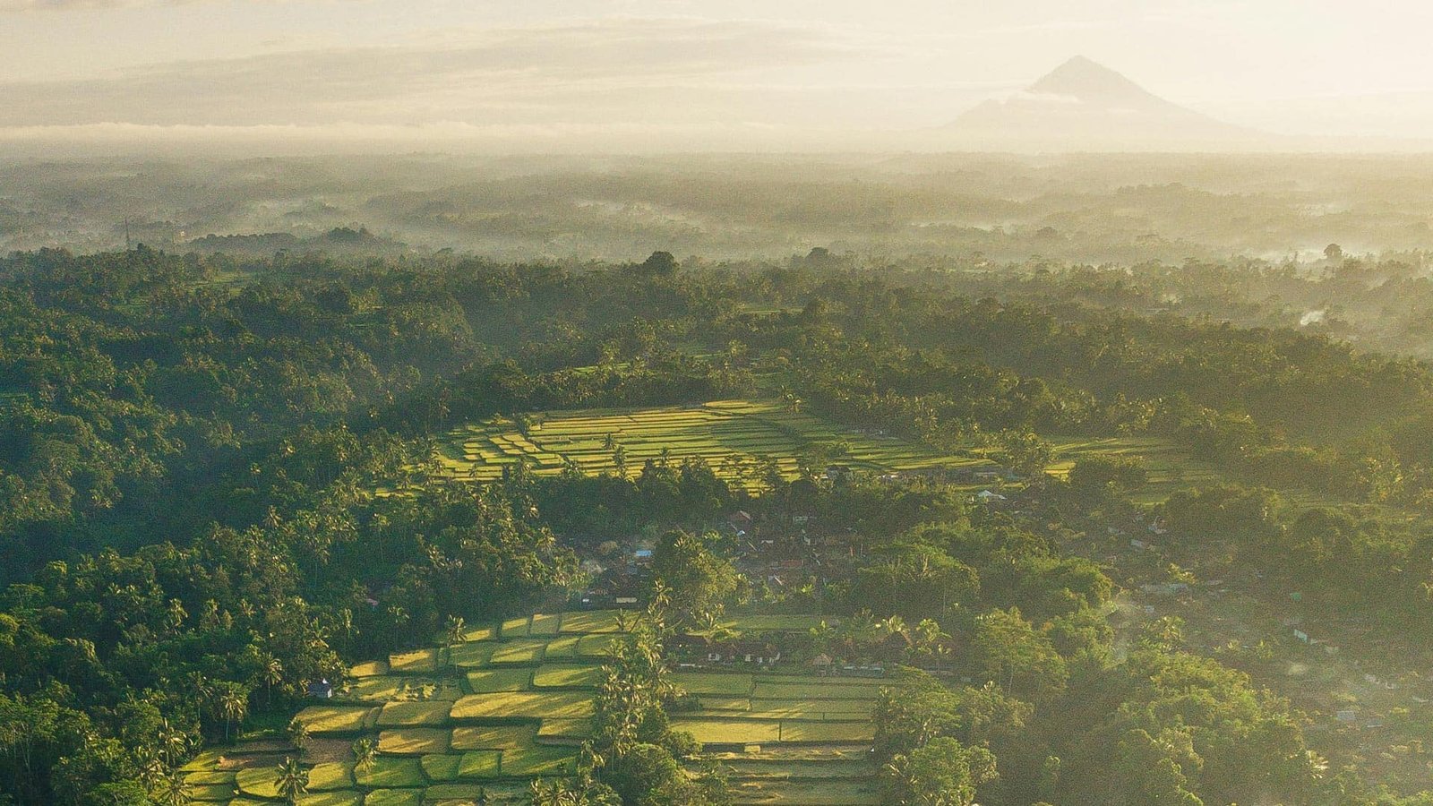 Bali travel guide - Guided Day Tours