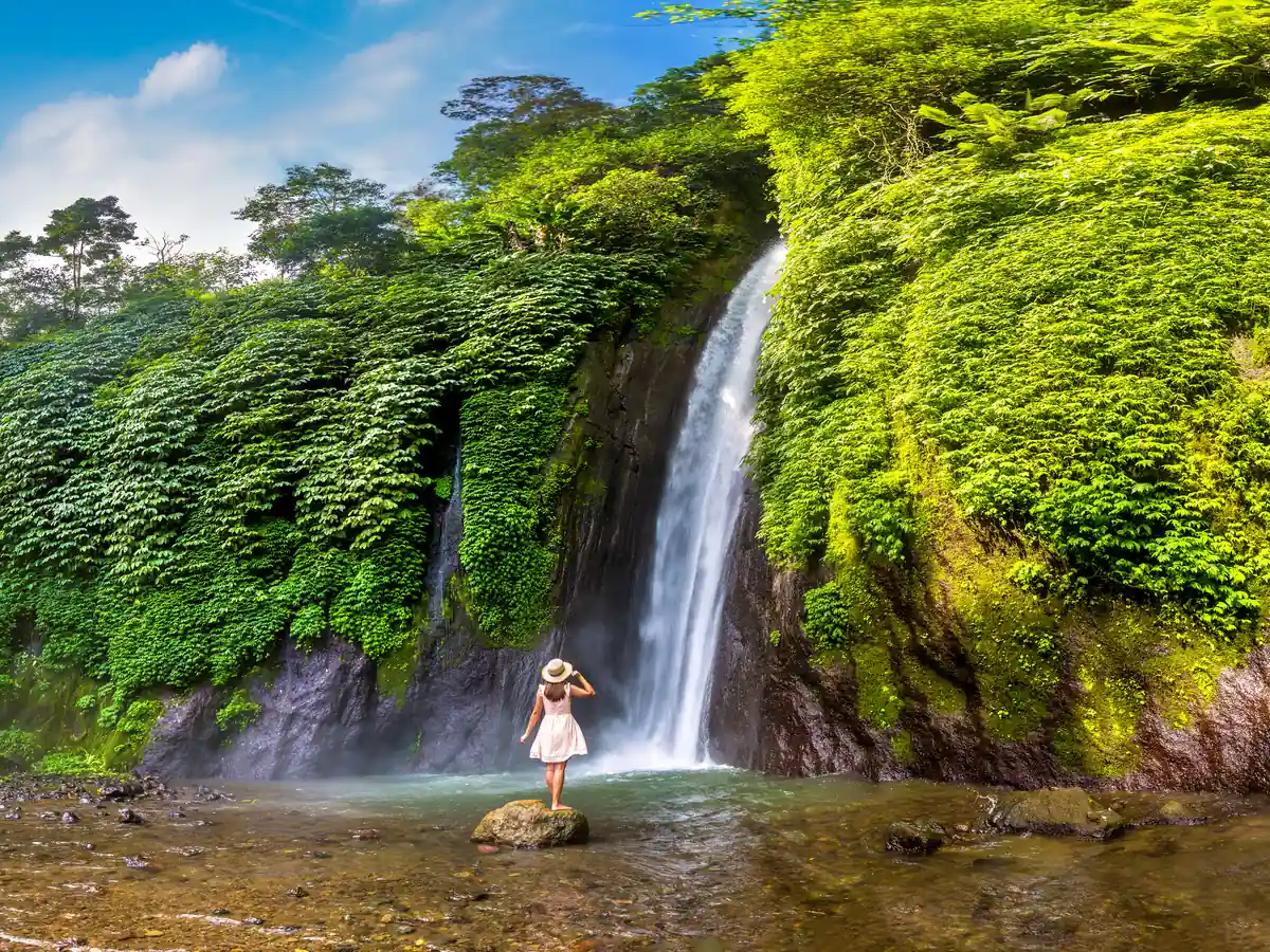 A rainforest waterfall in the hills of north Bali